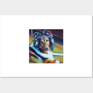 Colorful SHELTIE by Robert Phelps Posters and Art